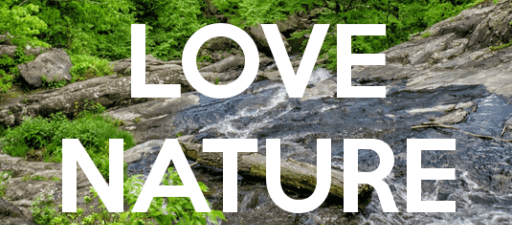 naturedeprived.com the blog site for nature lovers