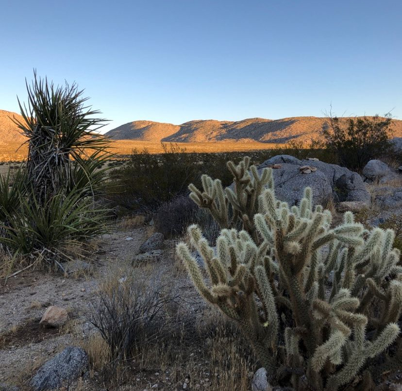 Anza Borrego Desert State Park