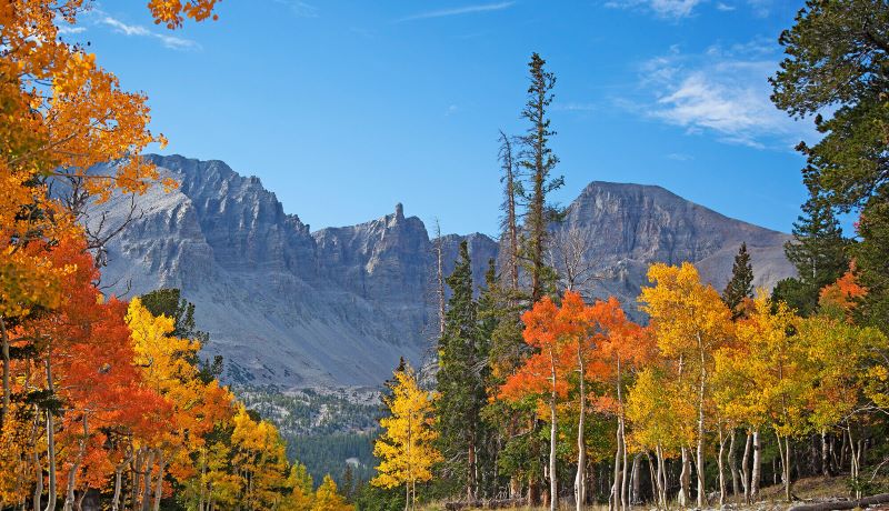 Nature-deprived-outdoor-and-trabel-blog-book-your-stay-at-great-basin-national-park