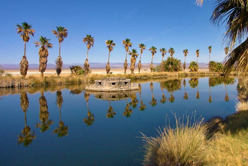 Nature-deprived-visiting-and-booking-hotel-at-mojave-national-preserve